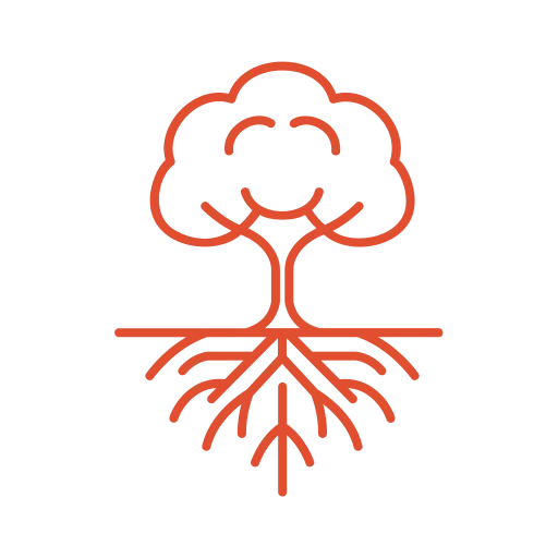 racines et arbre.png